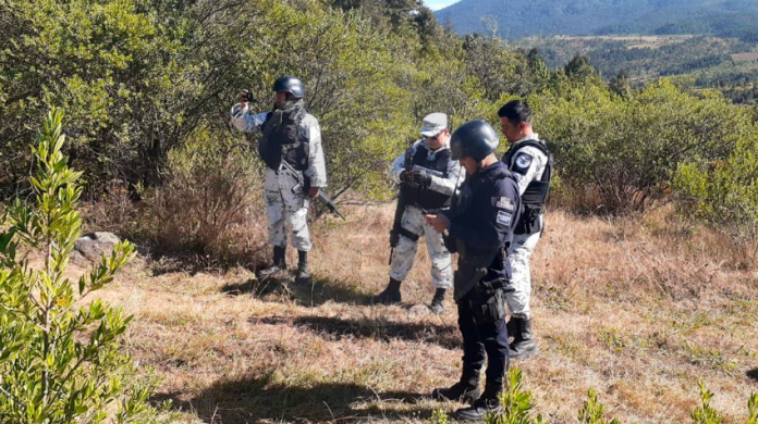 Abejas asesinas vuelven hacer de las suyas, matan a un jornalero y dejan a otro seis heridos