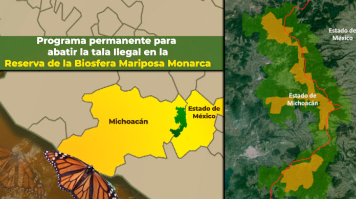 Programa permanente para abatir la tala Ilegal en la Reserva de la Biosfera Mariposa Monarca