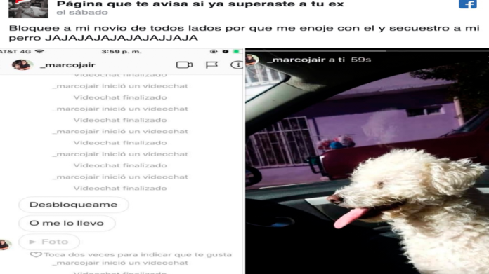 Novio tóxico nivel: 