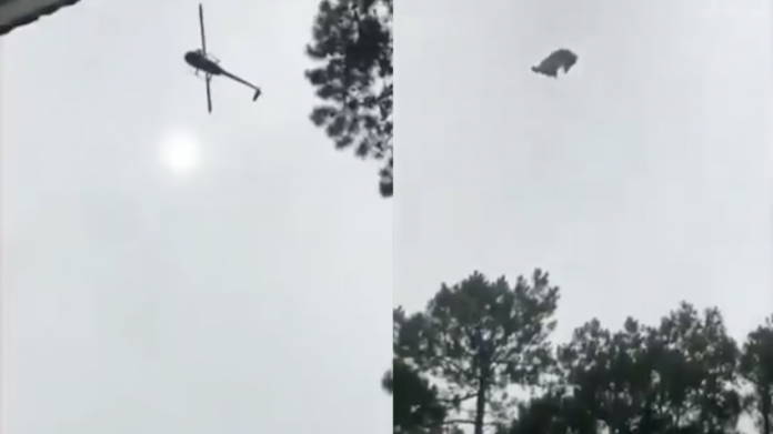 VIDEO: Lanzan un cerdo desde un helicóptero 