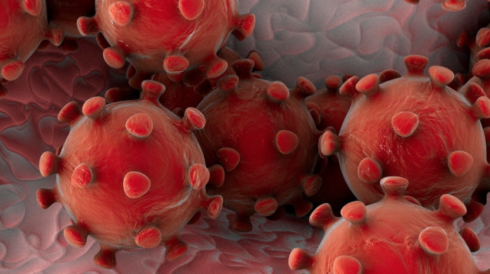 Así habría llegado a México el primer posible caso del coronavirus