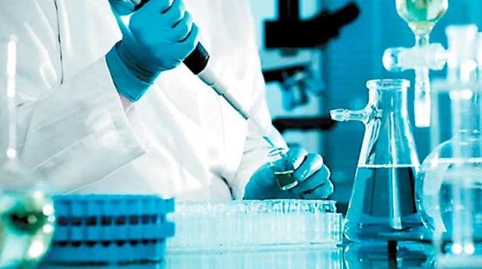 Científicos descubren por error células capaces de curar cualquier tipo de cáncer