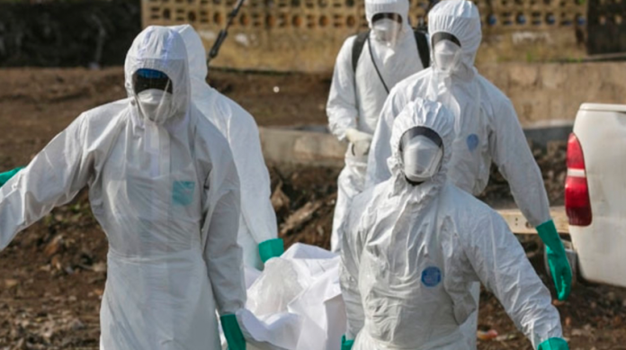 Nueva epidemia de fiebre de Lassa ha quitado la vida a más de 40 personas
