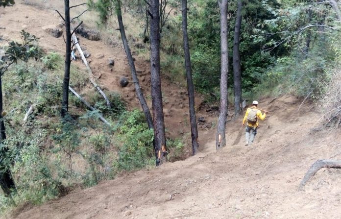 Gobierno Municipal redobla esfuerzos en prevención y combate de incendios forestales