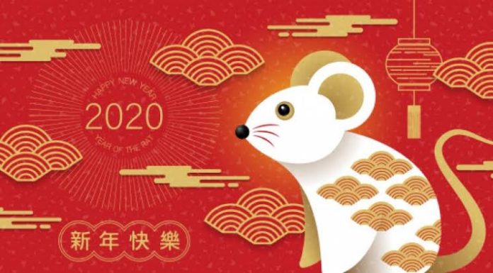 2020 año de la rata; prosperidad y estabilidad financiera