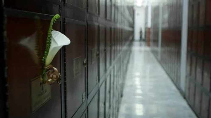 Ladrón roba las cenizas de un joven, se arrepiente y entre lágrimas las devuelve