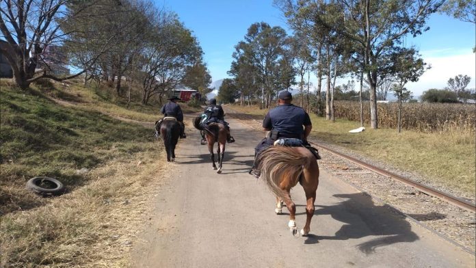 Mantiene unidad Montada, recorridos de vigilancia en tenencias de Morelia: SSP
