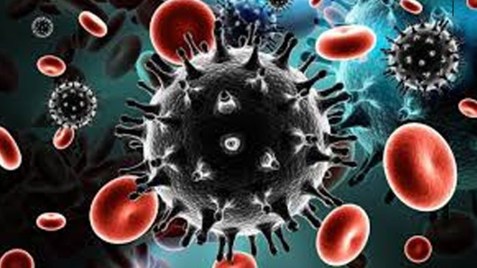 ¡Cuidado! Estos son los virus más peligrosos del mundo