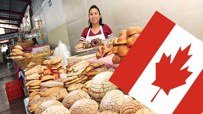 Canadá busca a panaderos mexicanos; ofrece 32 mil pesos al mes