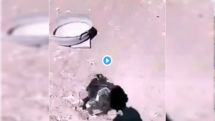 Video: Presuntos sicarios de la Familia Michoacana saquean y cobran piso a negocios