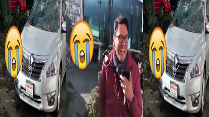 Video: Reportero hace transmisión de un árbol caído sobre auto; resulta ser el suyo