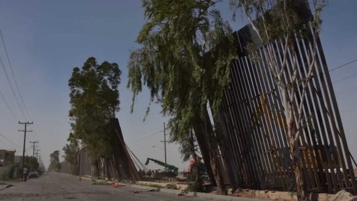 Video: Viento derriba muro fronterizo en Mexicali