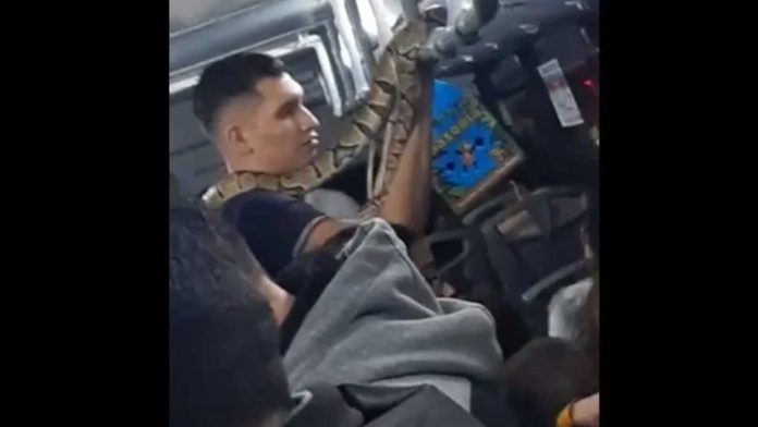 Video: Captan a joven paseando a pitón en el transporte público