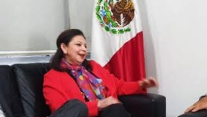 Embajadora expulsada de Bolivia llega a México