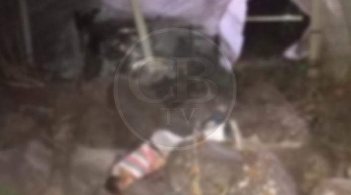 Joven muere atropellado por conductor ebrio en Zamora