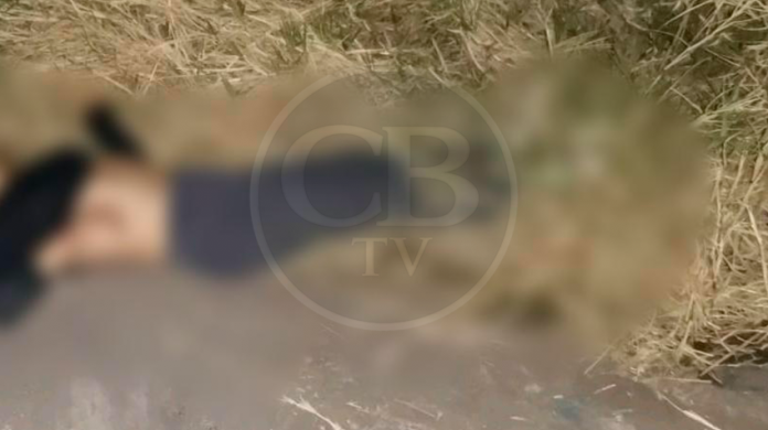 Fin de semana sangriento; ocho muertos, un herido y ningún detenido