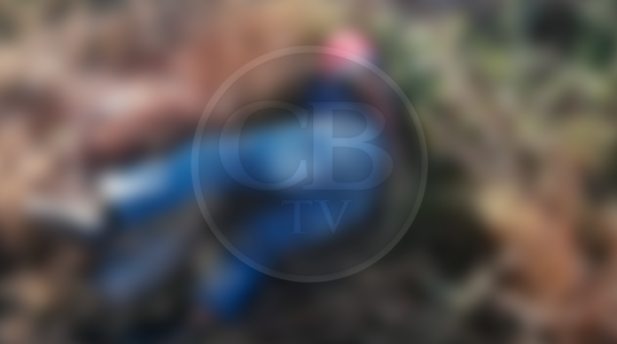 Localizan otros dos ejecutados en Zamora