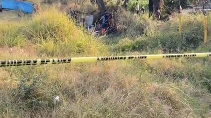 México: Desnudo y carcomido por animales, hallan el cuerpo sin vida de una niña