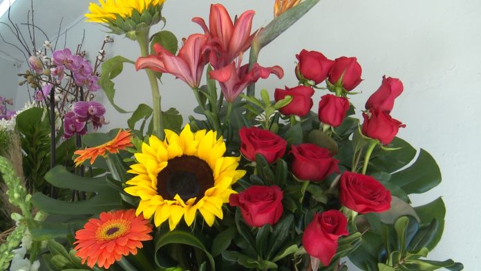 debido a cuestiones climatológicas, el precio de las flores incremento bastante
