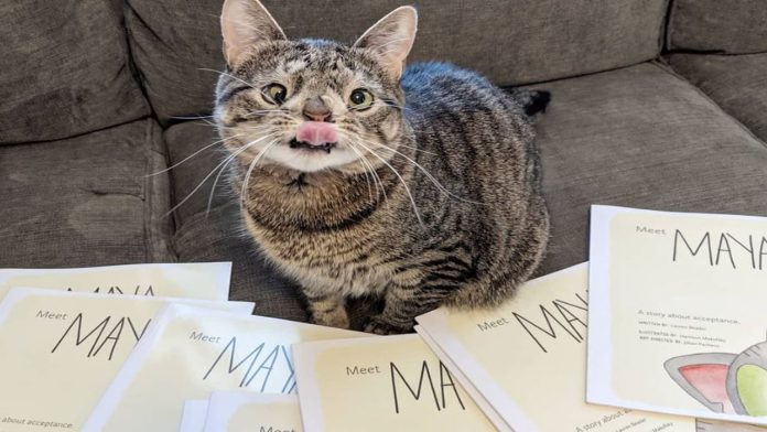 Gatita con síndrome de Down 