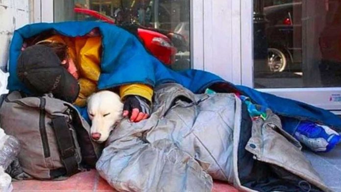 Indigente y perrito mueren abrazados a causa del frío