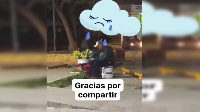Convocan en redes a ayudar a abuelito que vende flores en la calle
