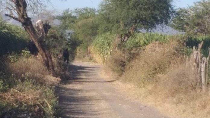 México: Por disputa de tierras, familiares violaron y asesinaron a madre e hija