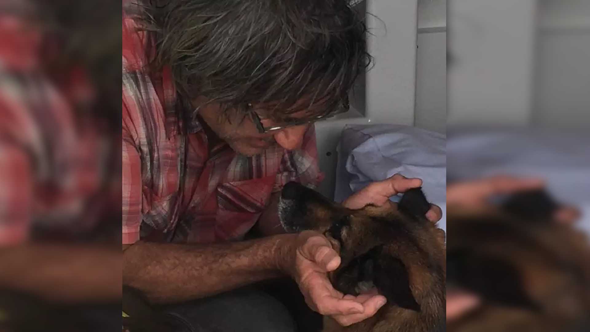 Perrita nadó durante 11 horas para rescatar a su dueño Perrita nadó durante 11 horas para rescatar a su dueño