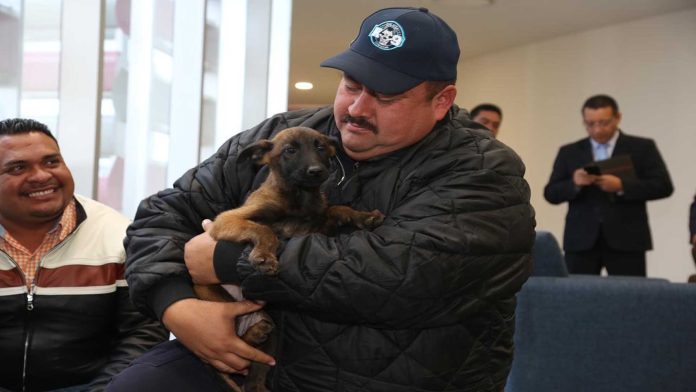 Se integra ejemplar a la Unidad Canina de la SSP 