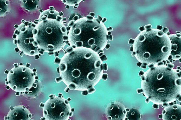 Atienden siete casos de coronavirus en México