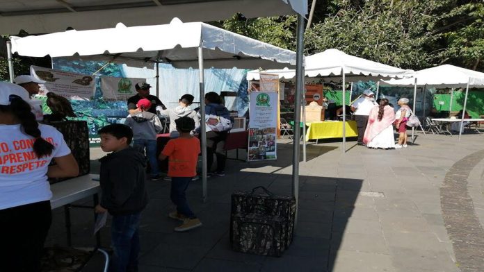 Convocan a respetar las distintas especies animales y convivir en armonía con el ecosistema