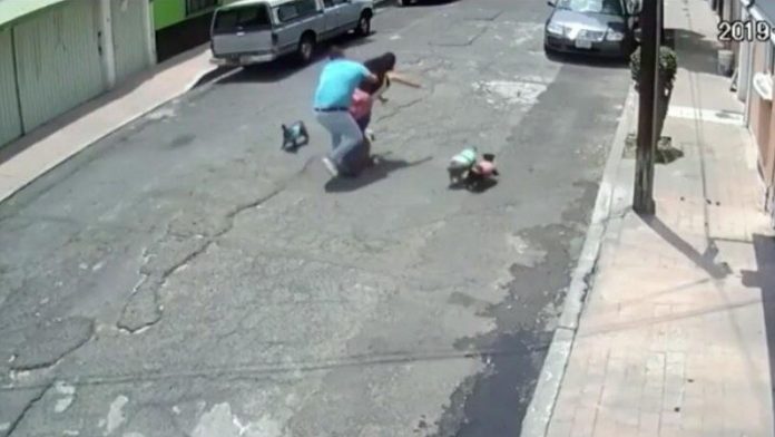 Liberan al agresor de mujer que paseaba con su perrito