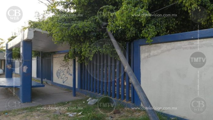 Peligro para los estudiantes del Ctis 120 por poste de luz caído