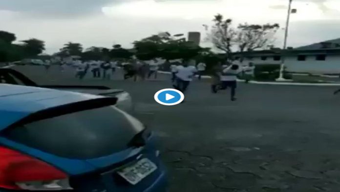 Video: Alrededor de 1,350 reos se escapan de las cárceles de Sao Paulo por coronavirus