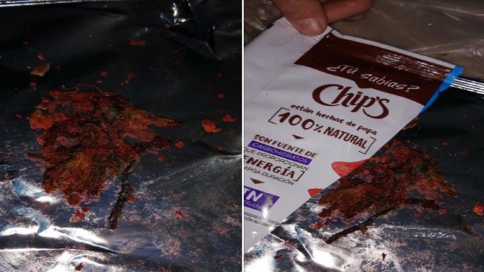 Mujer encuentra ratón adobado dentro de bolsa de papas Chips