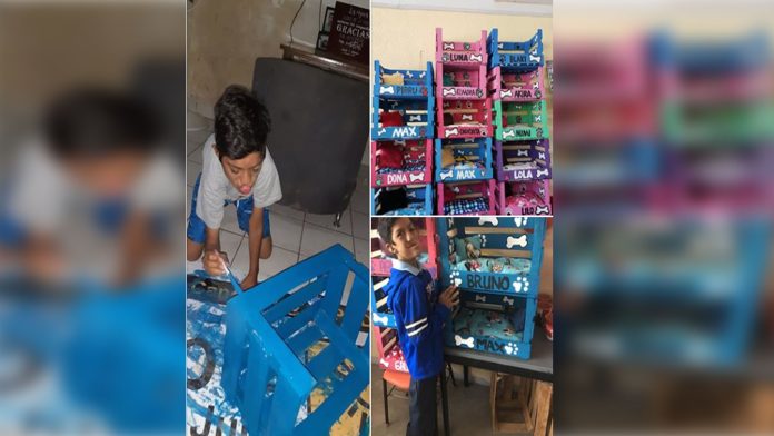 Niño mexicano emprende su propia empresa; fabrica y vende camitas para mascota