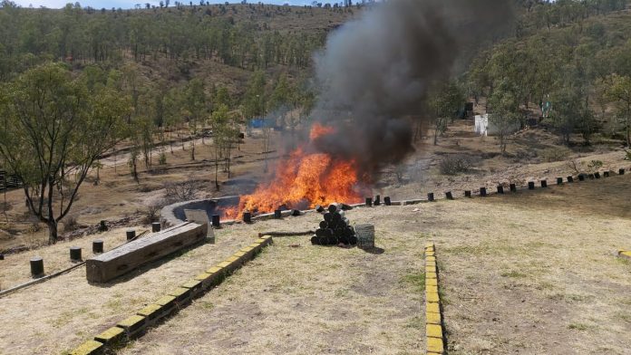 Sedena incinera más de media tonelada de narcóticos en Morelia