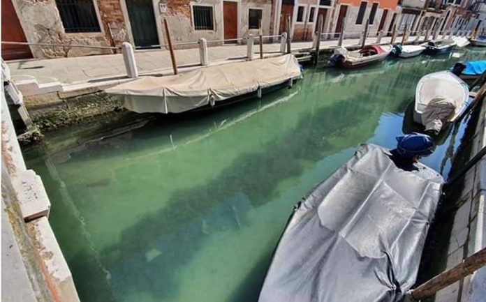 3. Canales de Venecia se vuelve cristalina tras la reciente cuarentena