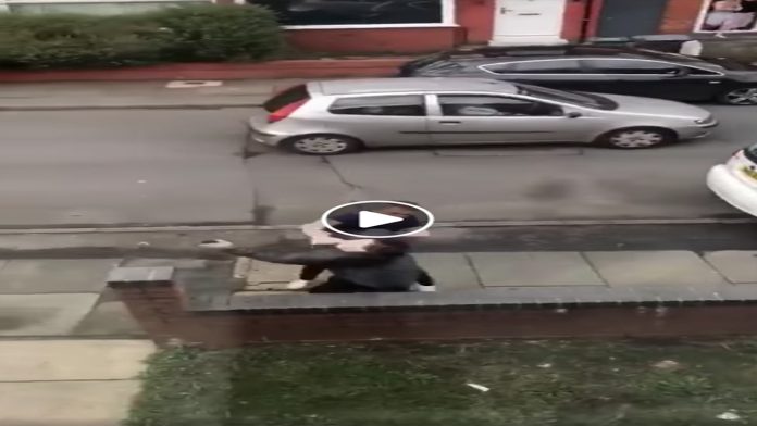 Video: Hombre propina un golpe tan fuerte a presunto ladrón y rompe una columna de ladrillos con la cabeza