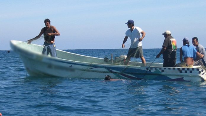 La pesca se encuentra en momento crítico