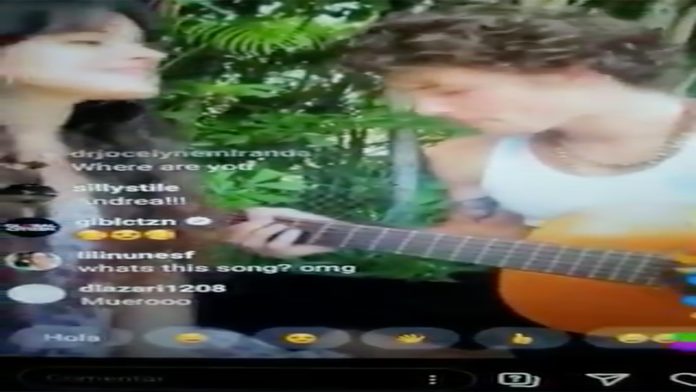 Coronavirus junta a Camila cabello y Shawn Mendez vía streaming