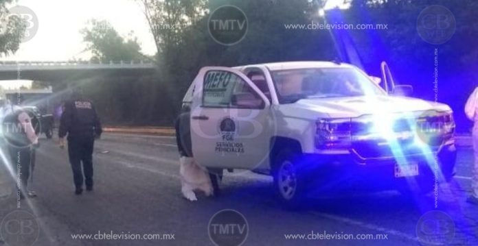 Choque entre motocicletas deja un menor de edad muerto