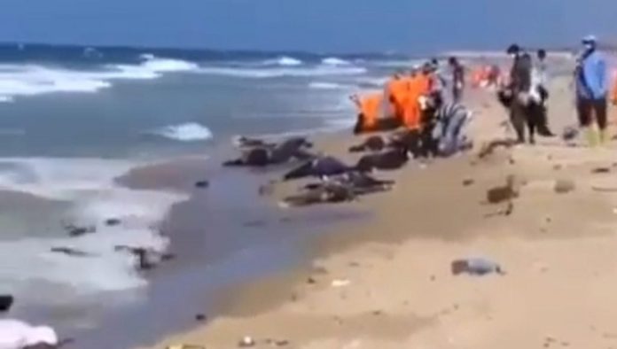 Video: Desmienten que Ecuador esté tirando muertos por coronavirus al mar