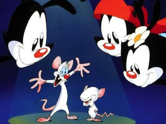 Warner Bros planea el regreso de Pinky y Cerebro