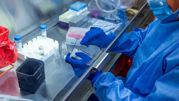Científicos hallan medicamento que mata al coronavirus en 48 horas