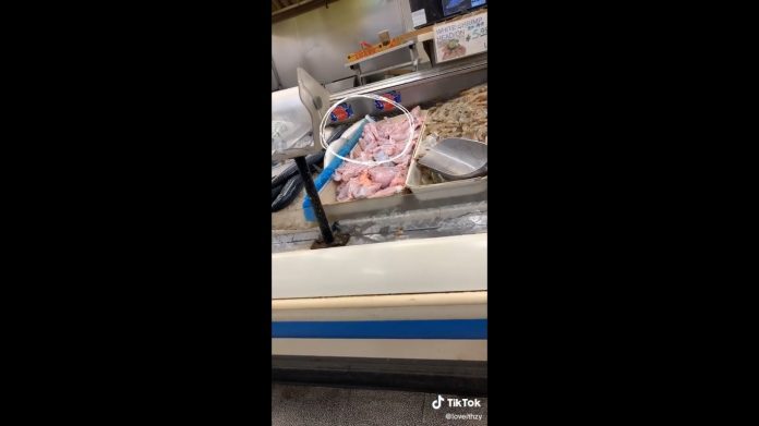 rana Zombie en mercado de China