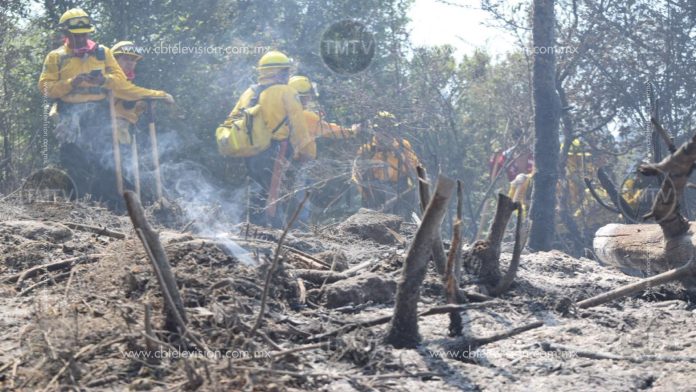 Controlan incendio en “El cacique”