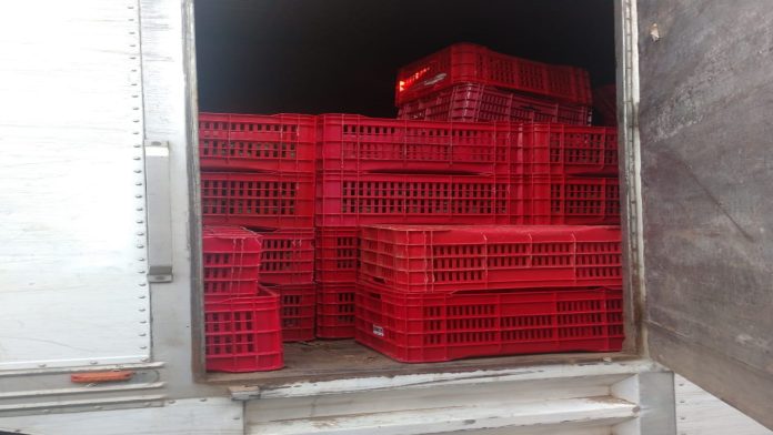 Recuperan camión con aguacate robado en Uruapan