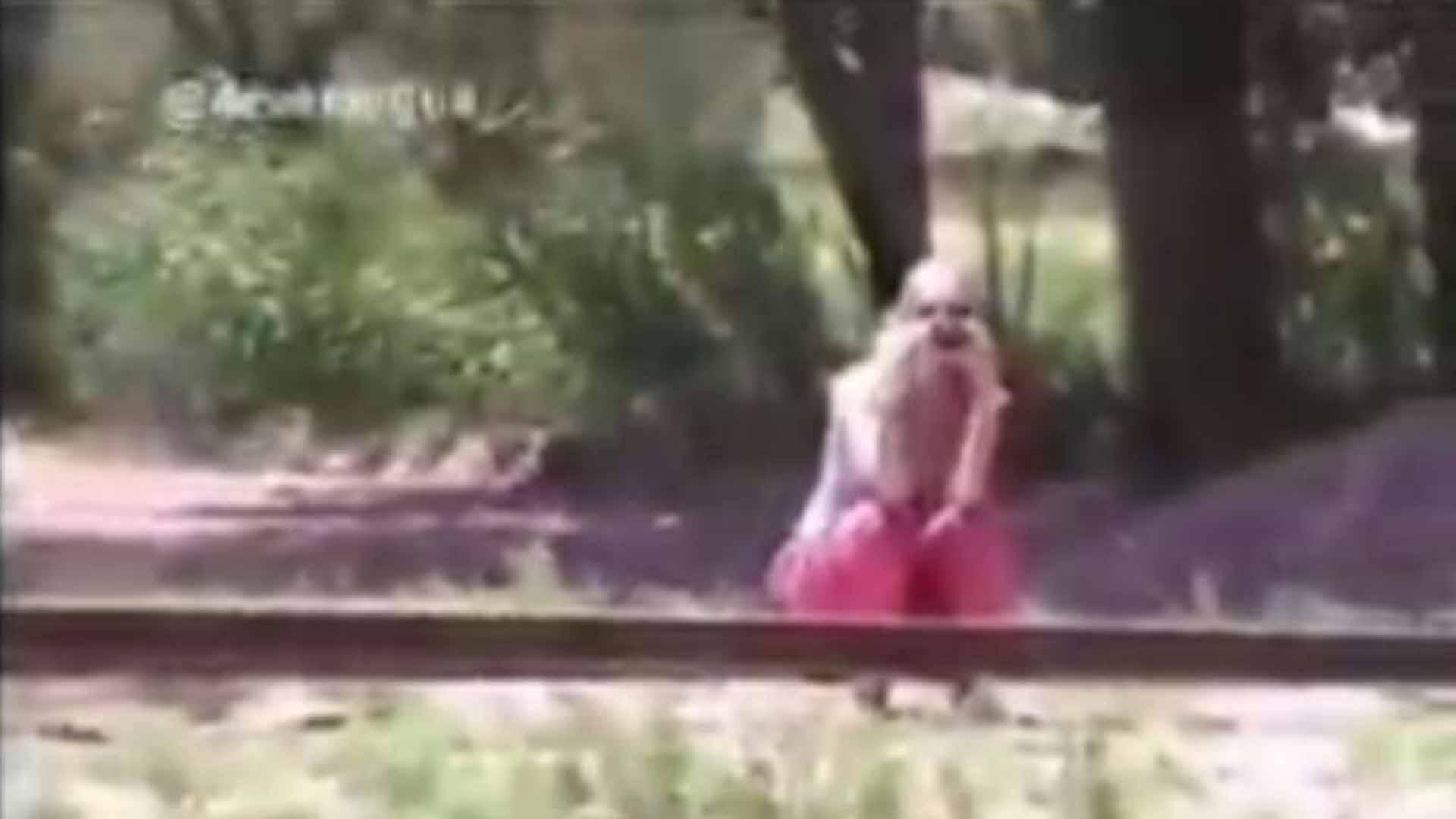 Video: Captan a presunto duende Video: Captan a presunto duende
