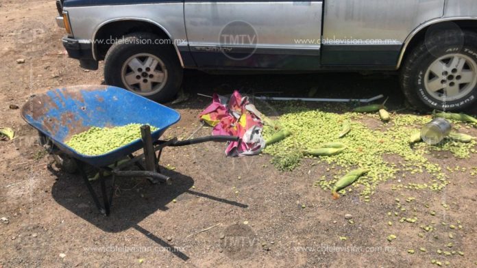 Camioneta derriba puesto de garbanzos y deja tres heridos; dos son menores